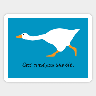 The Treachery of a Goose Magnet